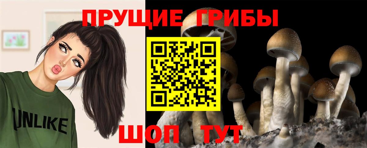Красноармейск  Псилоцибиновые грибы Magic Shrooms  Вход с VPN 